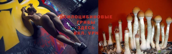 кокс Алексин