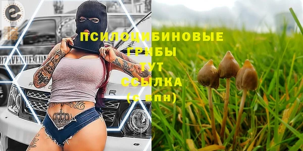 марки nbome Алексеевка