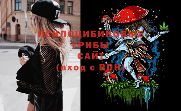ешки Инта