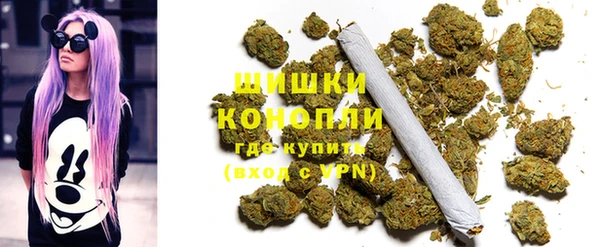 спайс Алзамай