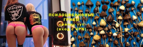 марки lsd Дмитровск