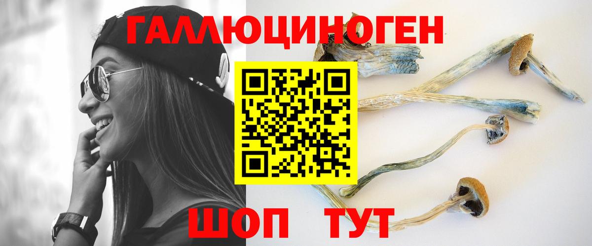 Майкоп  Псилоцибиновые грибы Psilocybe  Вход с VPN  Галлюциногенные грибы Cubensis 