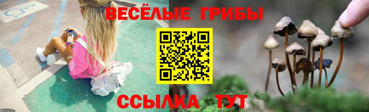 Галлюциногенные грибы ЛСД Майкоп