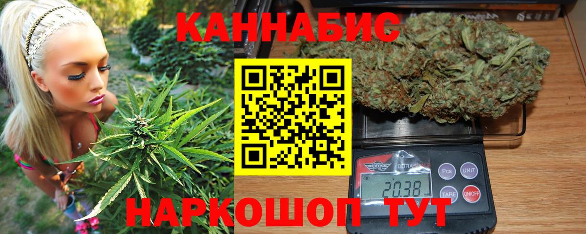 Конопля сатива  Бошки марихуана Bruce Banner  Майкоп  Вход с VPN 